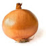 JMqss0_FFAg-channel-avatar-Onion_II