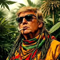 Vibe Reggae Hub