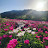 @새삶스럽게
