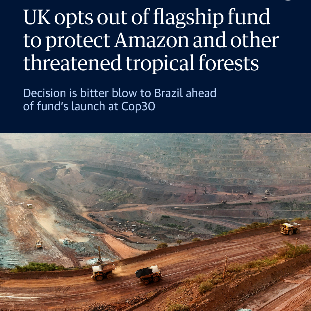 Post from The Guardian