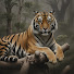 HaVJIyo1mQo-channel-avatar-แดนดงสนธยา and แอคชั่นสายบู๊ (Action Sai Boo)
