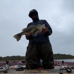 tperryfishing