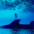 IQjq3d4lywY-channel-avatar-Intrepid Hippo
