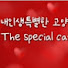 연집사 리얼 스토리