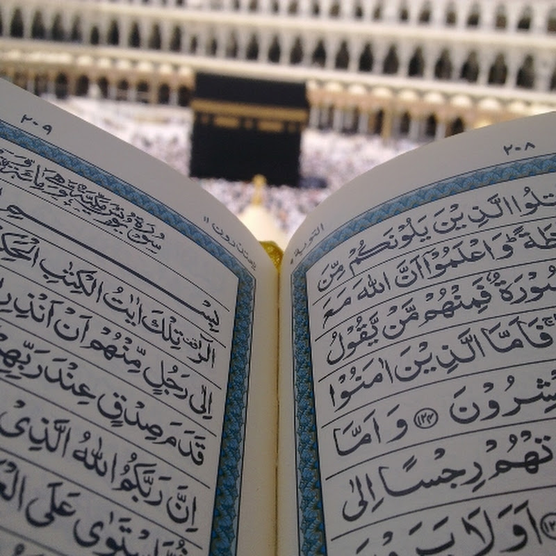 quran search urdu 