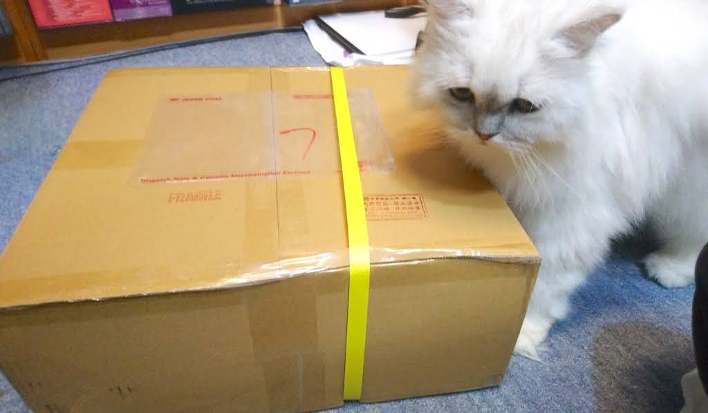 6/6削除　最終値下げ　八木澤教司　輝ける夏の日へ YouTube