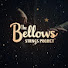 eqVxxeIuANU-channel-avatar-The Bellows Strings Project!
