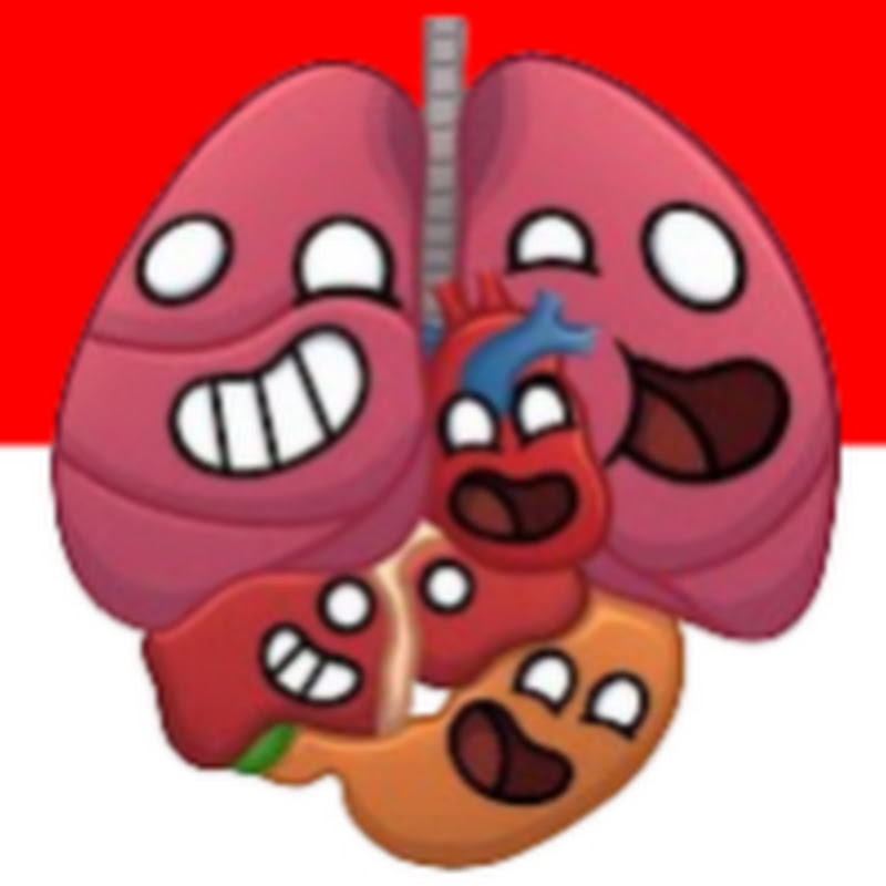 HumanBuddy Indonesia