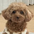 @KJY-w7c