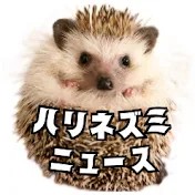 テレビが絶対放送しないハリネズミニュース
