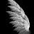 @AmeedGhanem-v2k1f