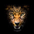 _t63EV-Xx4I-channel-avatar-Santuário Natural - Documentários de Animais