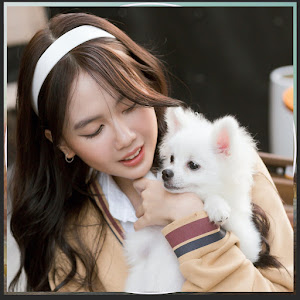 UCSkZeVTfy_emZf_7lujP2bg YouTube channel image