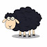 DpSRL4dtZkU-channel-avatar-Black Sheep Bible Study