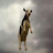 @negativauraa's avatar