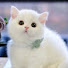 7h4EvpGJ9hM-channel-avatar-YELLOBAD UG 