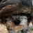 @Ermshteb Avatar