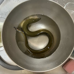 ひきこもりんぐ