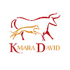 What could kmara David buy with $100 thousand?