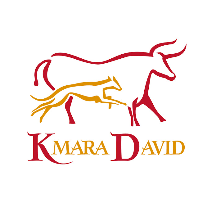 kmara David Net Worth & Earnings (2024)