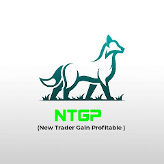 NTGP(NEW TRADER GAIN PROFITABLE channel logo