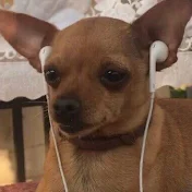 오인격