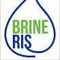 BrineRIS logo