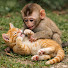 itPzNSzxjpU-channel-avatar-Loves Animals