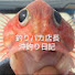 R915RyJ4F-M-channel-avatar-釣りバカ店長の沖釣り日記