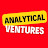 Analytical Ventures