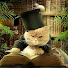 KbsCG9k58iM-channel-avatar-Книжник.