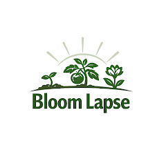 Bloom Lapse