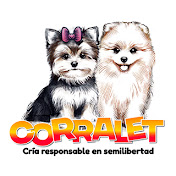 Corralet | Criadero Perros y Gatos | Razas Mini