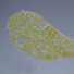 3U9sUuUA0H8-channel-avatar-Stentor Polymorphus