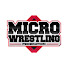 pG7X1BPEdVg-channel-avatar-Micro Wrestling Federation