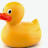 @Duckman-o9z3v