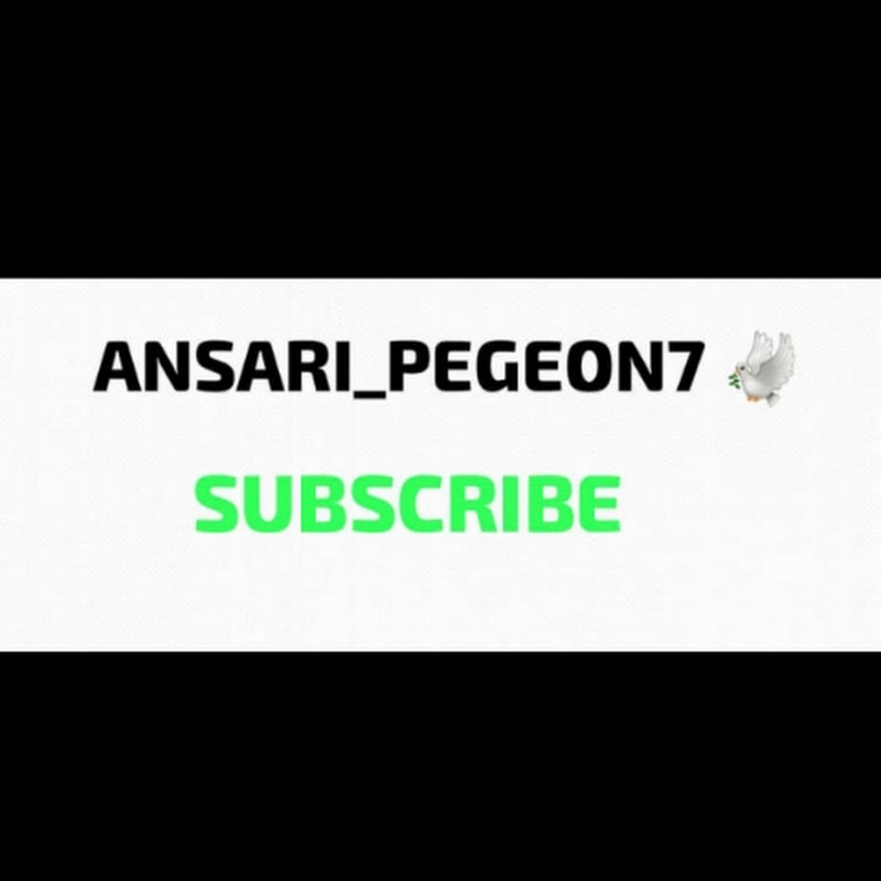 ANSARI_PIGEON 5E