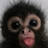 @ana_m0slem
