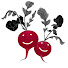 8elKvVF7uW8-channel-avatar-The Spanish Radish