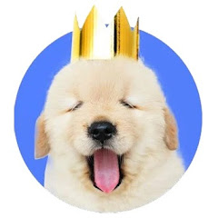 Funny Animals' Zone avatar