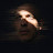 @mrtipton's avatar