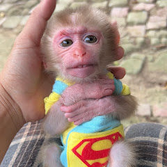 Monkey La