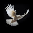 u_FfhEpNkvc-channel-avatar-Faith & Song