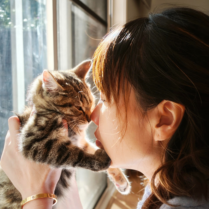 萨姐的南腔北调Lisa's Kitchen Logo