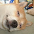 LgRzo3m9qzA-channel-avatar-정선우
