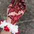 H5hLwcRxlxQ-channel-avatar-Nargies mehendi design...🌿
