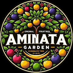 aminata garden Image Thumbnail