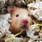 Pancake's Pets Avatar