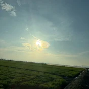面白動画倉庫