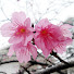 UF55X8Hex1Y-channel-avatar-名言集 芸能人